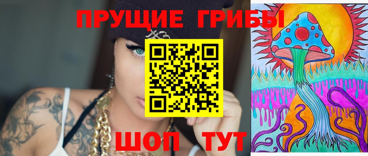 Галлюциногенные грибы Psilocybine cubensis Трёхгорный