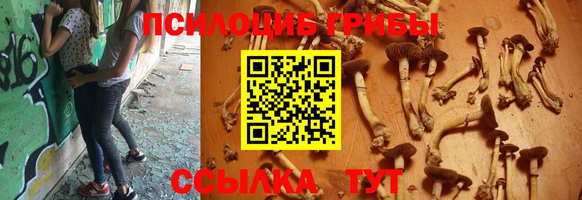 Трёхгорный  Галлюциногенные грибы Cubensis  Псилоцибиновые грибы Cubensis  Вход с VPN 
